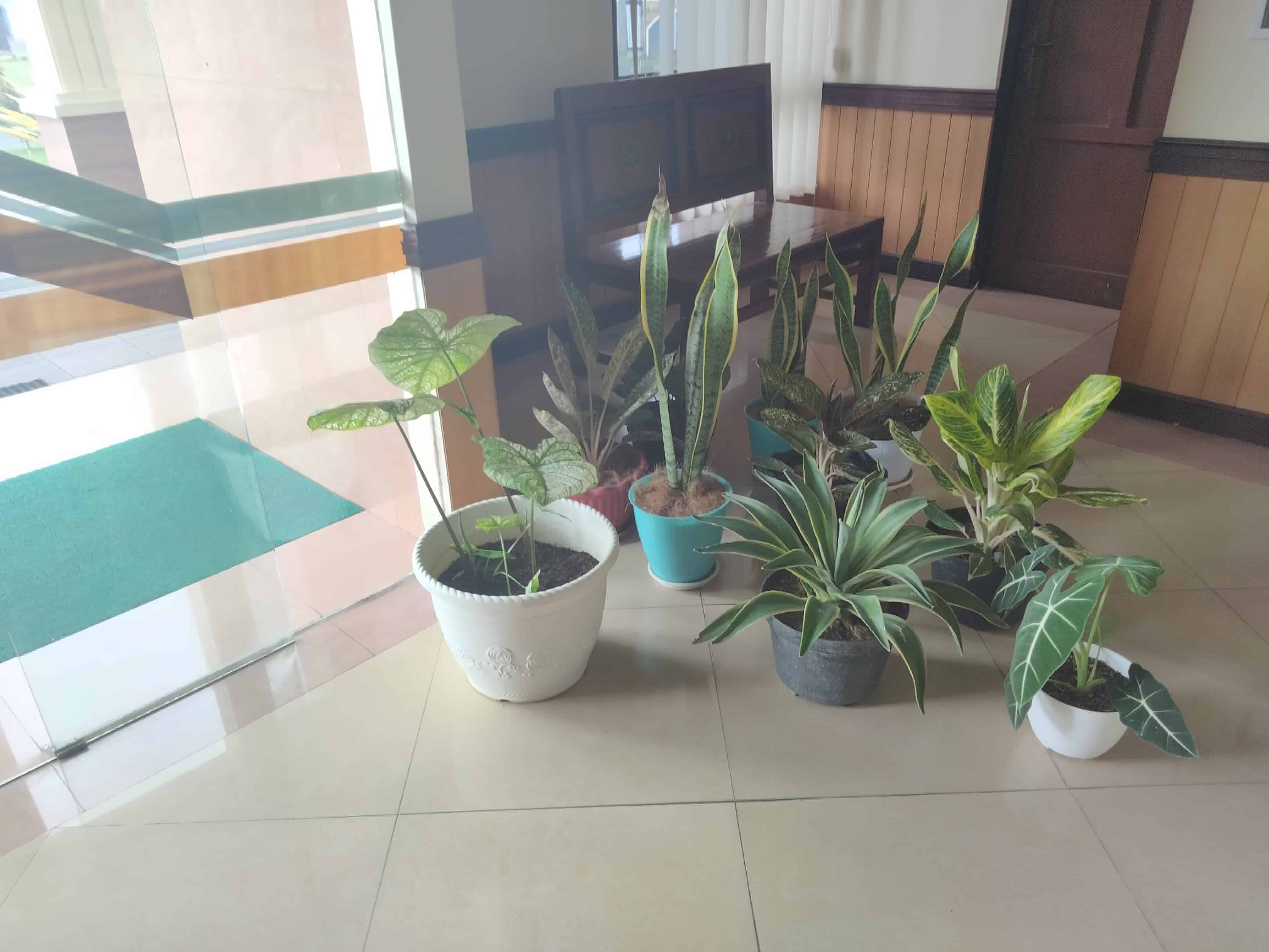 kerja bakti